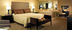 ny-ny-las-vegas-camere