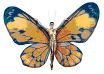 butterfly-tourism