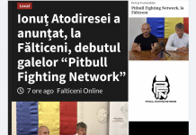 Pitbull Fighting Network